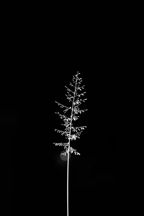 Minimalistisch vergrendelscherm Telefoon Achtergrond · lockscreen · 1440×2160