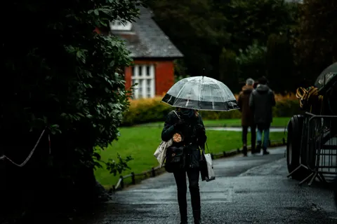 Rain Drops 4K Wallpaper · nature · 3840×2560
