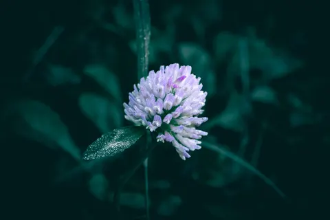 雨滴 4K壁纸 · nature · 3840×2560