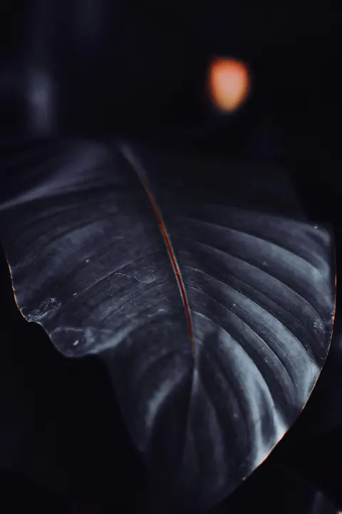 Tela de Bloqueio Minimalista Papel de Parede para Celular · lockscreen · 1440×2160