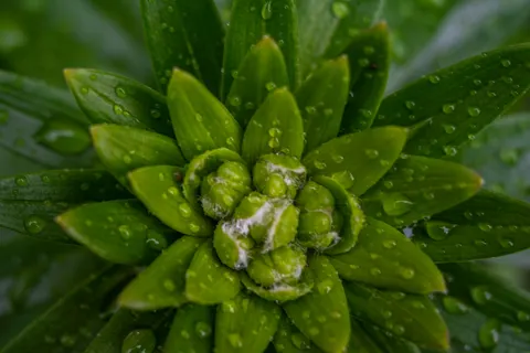 雨滴 4K壁纸 · nature · 3840×2560