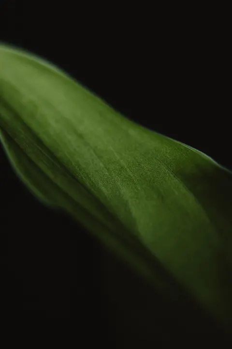 صفحه قفل مینیمال والپیپر موبایل · lockscreen · 1440×2160