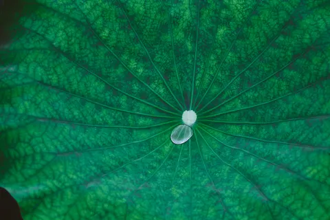 雨粒 4K壁紙 · nature · 3840×2560