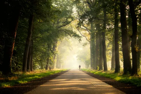 Foggy Road 4K Wallpaper · nature · 3840×2553