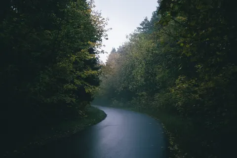 Foggy Road 4K Wallpaper · nature · 3840×2560
