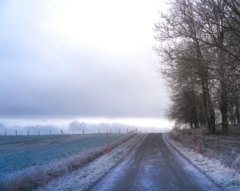 Foggy Road 4K Wallpaper · nature · 3840×3053