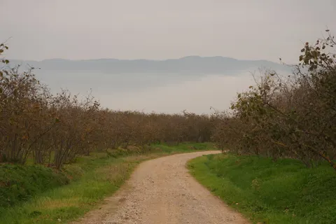 Foggy Road 4K Wallpaper · nature · 3840×2560