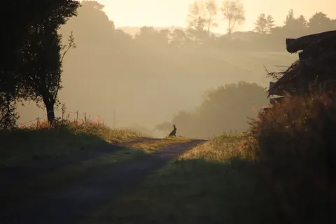 Neblige Straße 4K Hintergrundbild · nature · 3840×2560