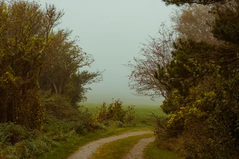 Foggy Road 4K Wallpaper · nature · 3840×2560