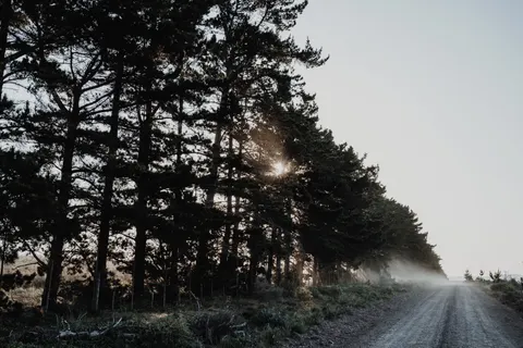 Neblige Straße 4K Hintergrundbild · nature · 3840×2560