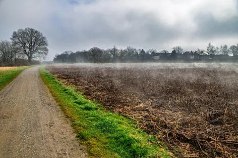 Neblige Straße 4K Hintergrundbild · nature · 3840×2560
