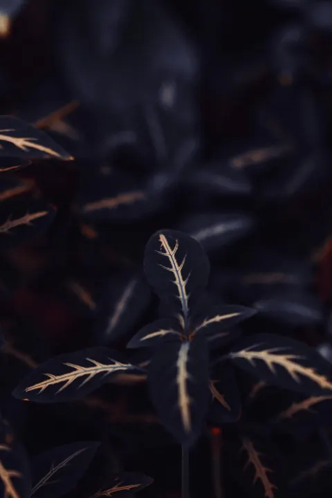 Minimalistisch vergrendelscherm Telefoon Achtergrond · lockscreen · 1440×2160