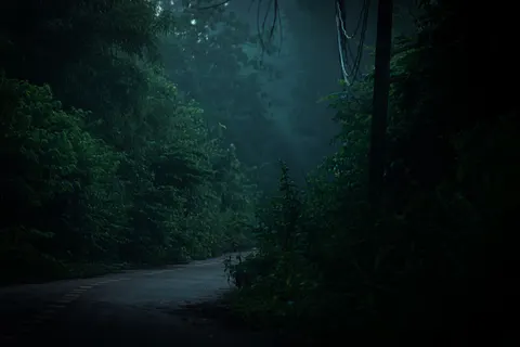 Обои Туманная дорога 4K · nature · 3840×2560