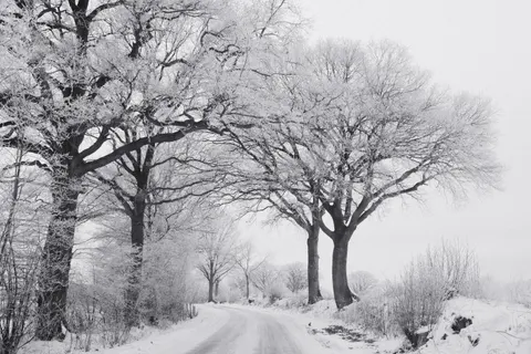 Neblige Straße 4K Hintergrundbild · nature · 3840×2560