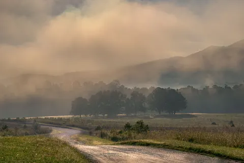 Foggy Road 4K Wallpaper · nature · 3840×2560