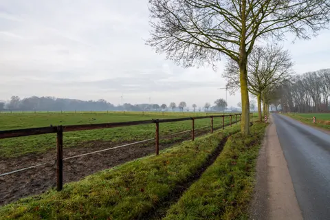 Fond d'écran Route brumeuse 4K · nature · 3840×2560