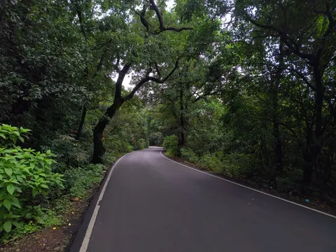 Fondo de pantalla Carretera con niebla 4K · nature · 3840×2880