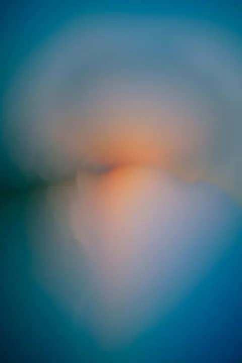 Zachte focus Telefoon Achtergrond · lockscreen · 1440×2160