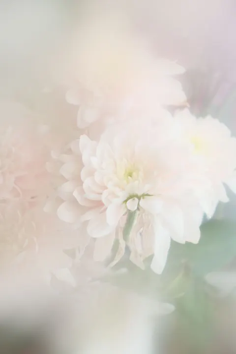Zachte focus Telefoon Achtergrond · lockscreen · 1440×2160