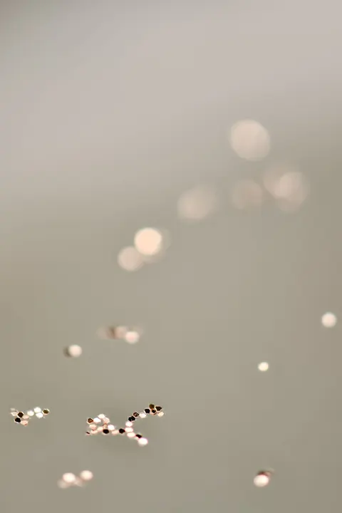 Zachte focus Telefoon Achtergrond · lockscreen · 1440×2160