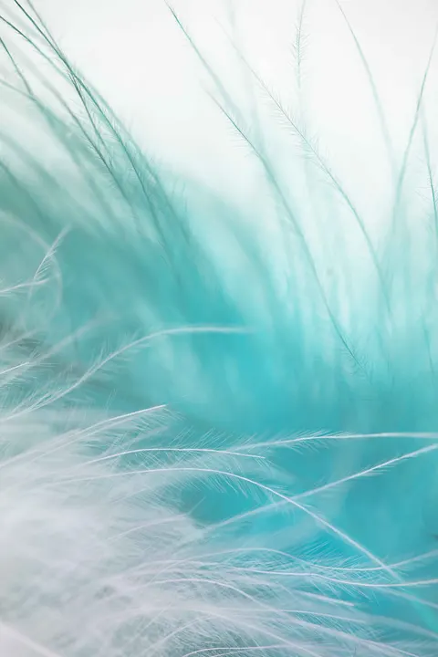Zachte focus Telefoon Achtergrond · lockscreen · 1440×2160