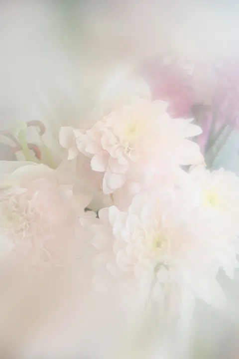 فوکوس نرم والپیپر موبایل · lockscreen · 1440×2160