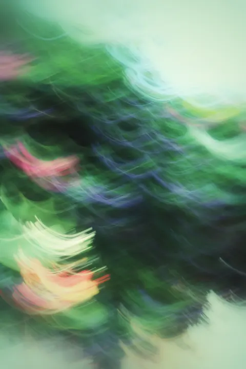 Zachte focus Telefoon Achtergrond · lockscreen · 1440×2160