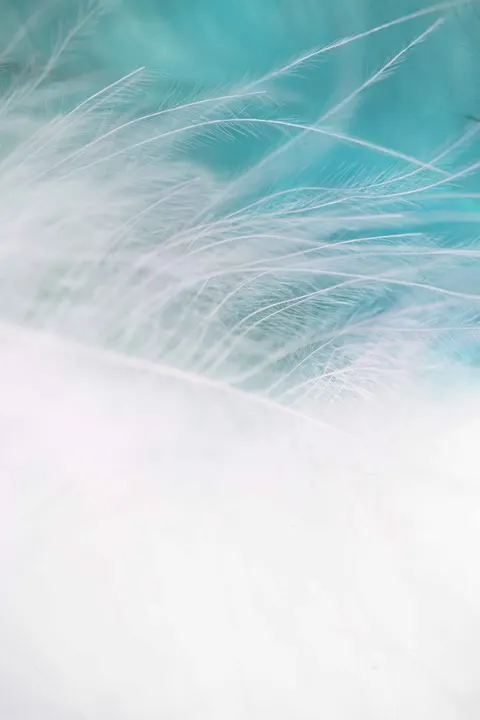 Fond d'écran mobile Flou Artistique · lockscreen · 1440×2160
