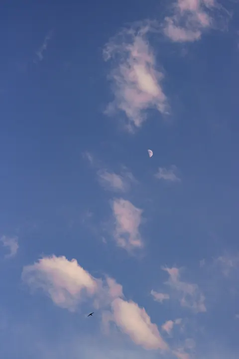 آسمان آرام والپیپر موبایل · lockscreen · 1440×2160