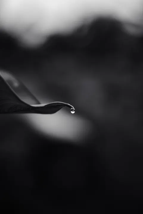 Pure Black Phone Wallpaper · amoled · 1440×2160