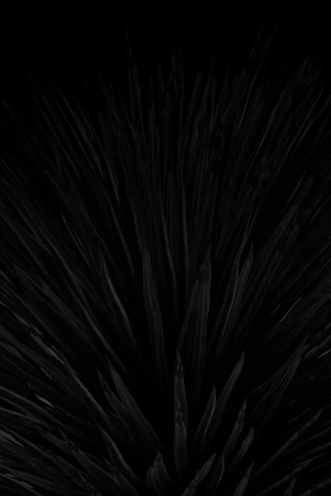 Pure Black Phone Wallpaper · amoled · 1440×2158