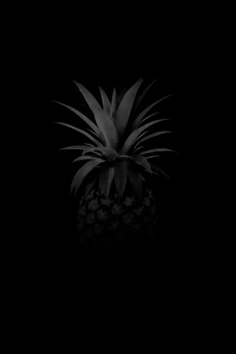 سیاه خالص والپیپر موبایل · amoled · 1440×2160