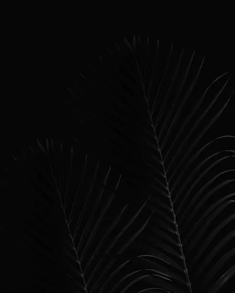 Pure Black Phone Wallpaper · amoled · 1440×1800
