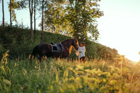 Horse 4K Wallpaper · animals · 3840×2560