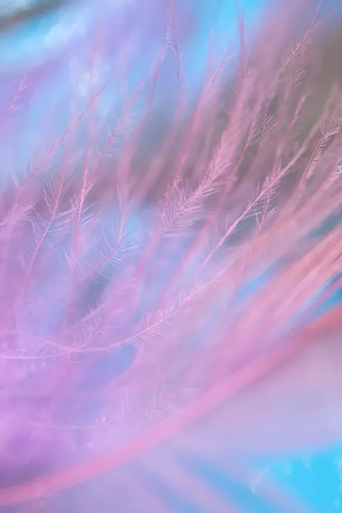 Lila Farbverlauf Handy-Hintergrundbild · gradient · 1440×2160