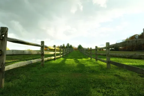 Pferd 4K Hintergrundbild · animals · 3840×2560