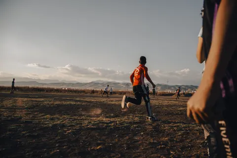 말 4K 배경화면 · animals · 3840×2560