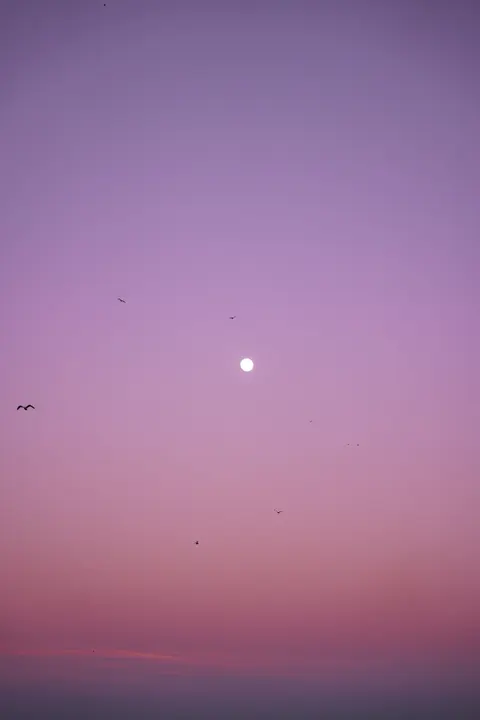 Фиолетовый градиент обои для телефона · gradient · 1440×2160