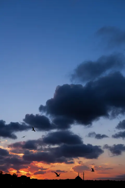 日落渐变 手机壁纸 · gradient · 1440×2160