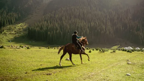Horse 4K Wallpaper · animals · 3840×2161