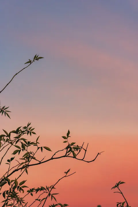 सनसेट ग्रेडिएंट मोबाइल वॉलपेपर · gradient · 1440×2157