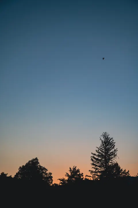 Zonsondergang-verloop Telefoon Achtergrond · gradient · 1440×2164