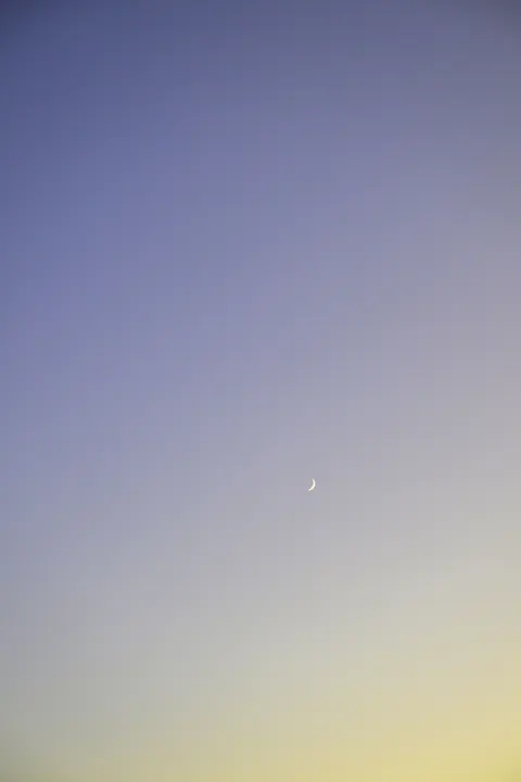 선셋 그라데이션 휴대폰 배경화면 · gradient · 1440×2160