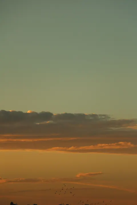 Gradient zachodu słońca Tapeta na Telefon · gradient · 1440×2160