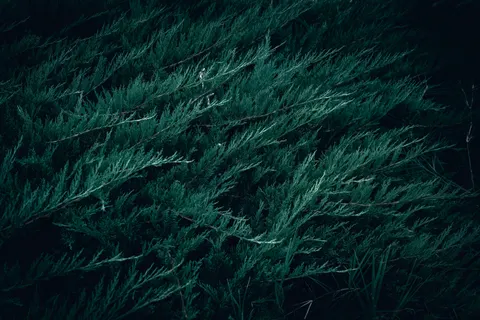 Fond d'écran Fumée 4K · abstract · 3840×2560