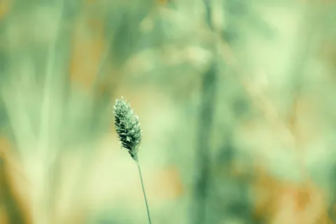 Fondo de pantalla Luces bokeh 4K · abstract · 3840×2560