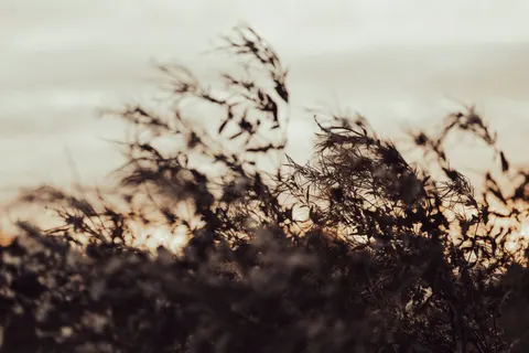 보케 조명 4K 배경화면 · abstract · 3840×2560
