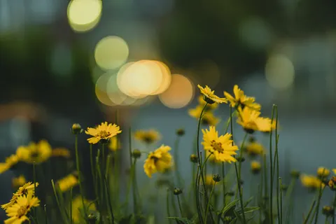 보케 조명 4K 배경화면 · abstract · 3840×2560