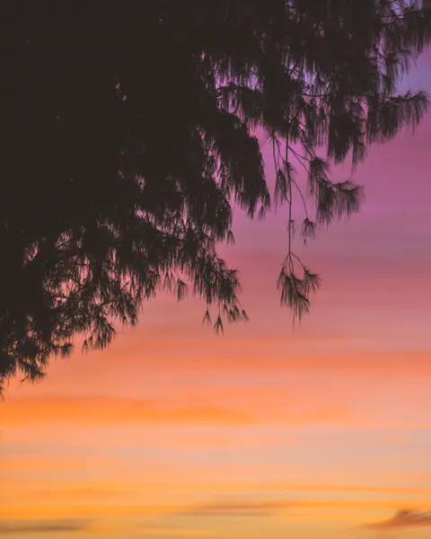Langit Memudar Wallpaper HP · gradient · 1440×1800
