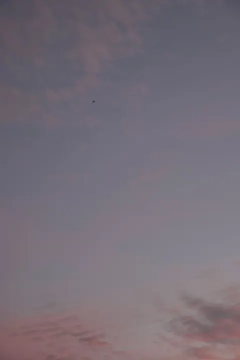 Langit Memudar Wallpaper HP · gradient · 1440×2160